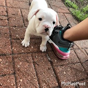 Meet your Posher, Keely